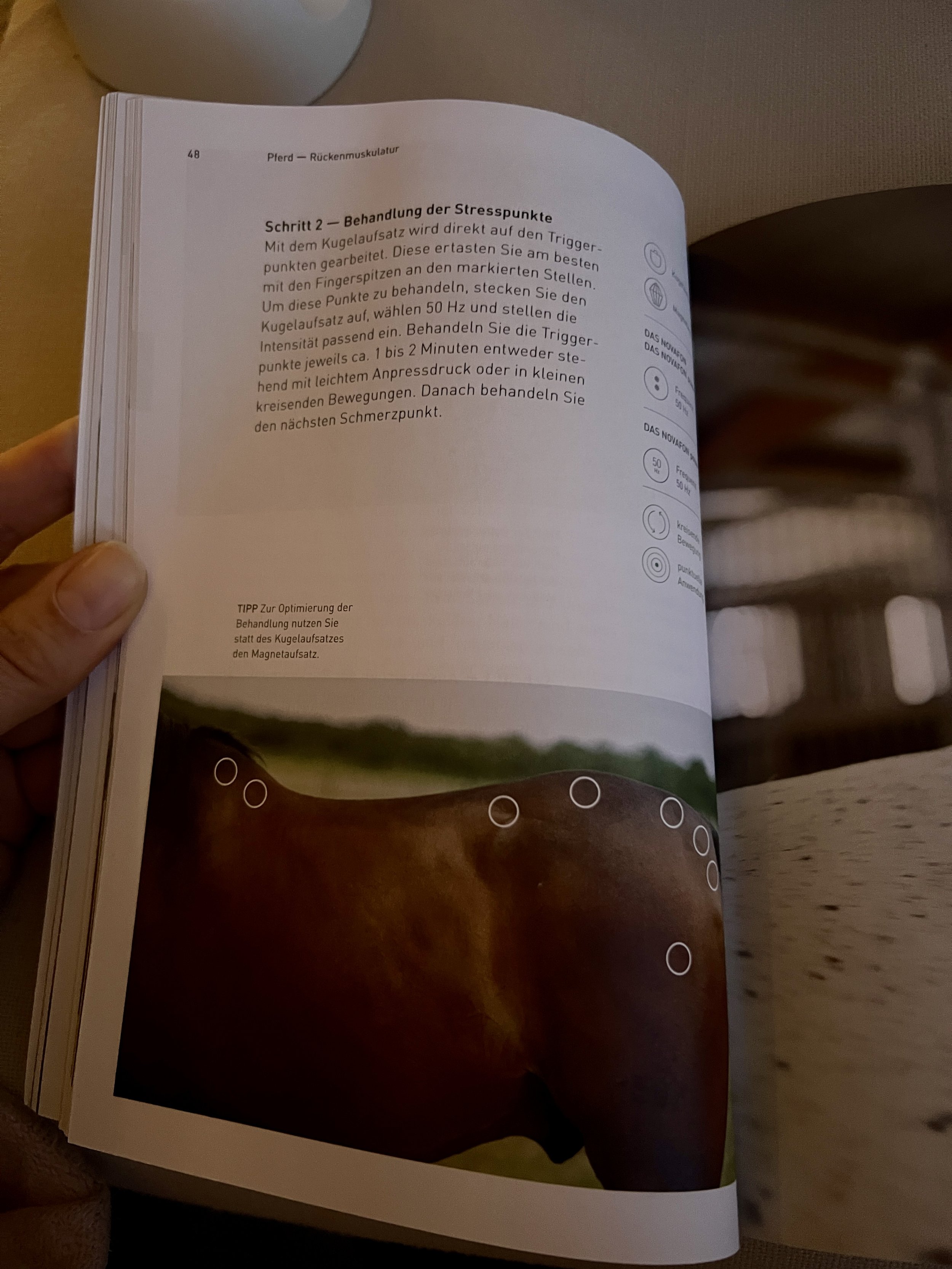 Ein Buch, das eine Anleitung zur Behandlung von Stresspunkten bei Pferden zeigt. Der Text beschreibt das Drücken auf Triggerpunkte und die Verwendung eines Handgeräts mit Frequenz von 50 Hz.