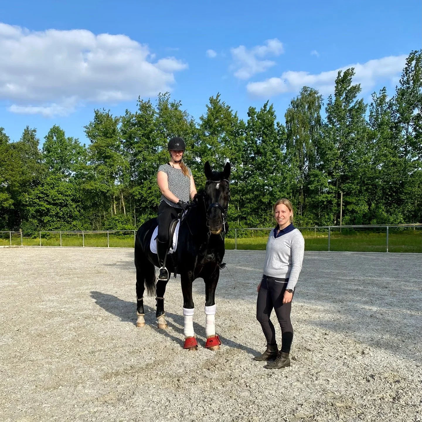 Zwei Frauen und ein schwarzes Pferd im Auslauf bei sonnigem Himmel und grünen Bäumen im Hintergrund.