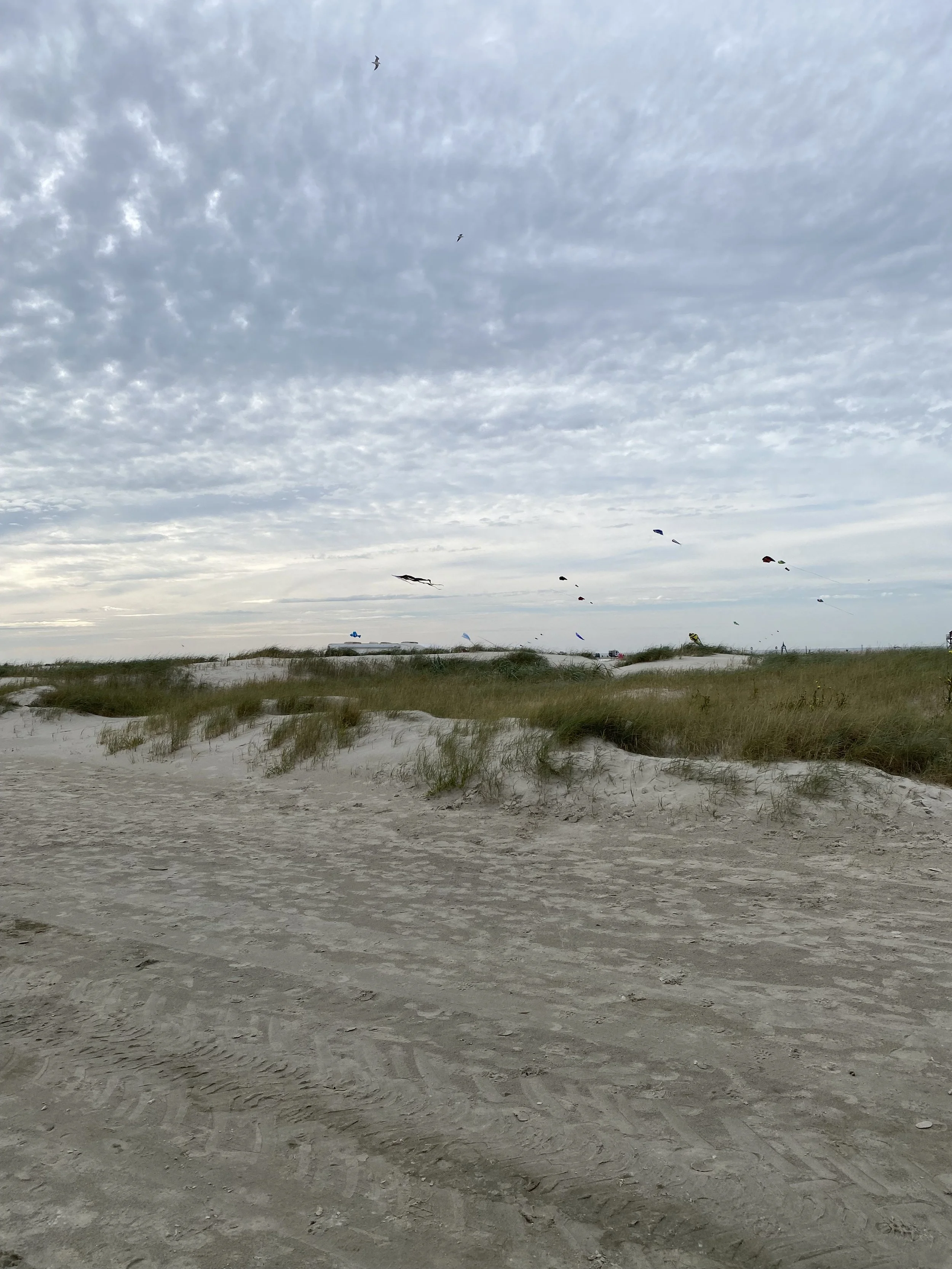 Sandhügel mit Gras und mehreren fliegenden bunten Drachen am Himmel bei bewölktem Wetter.