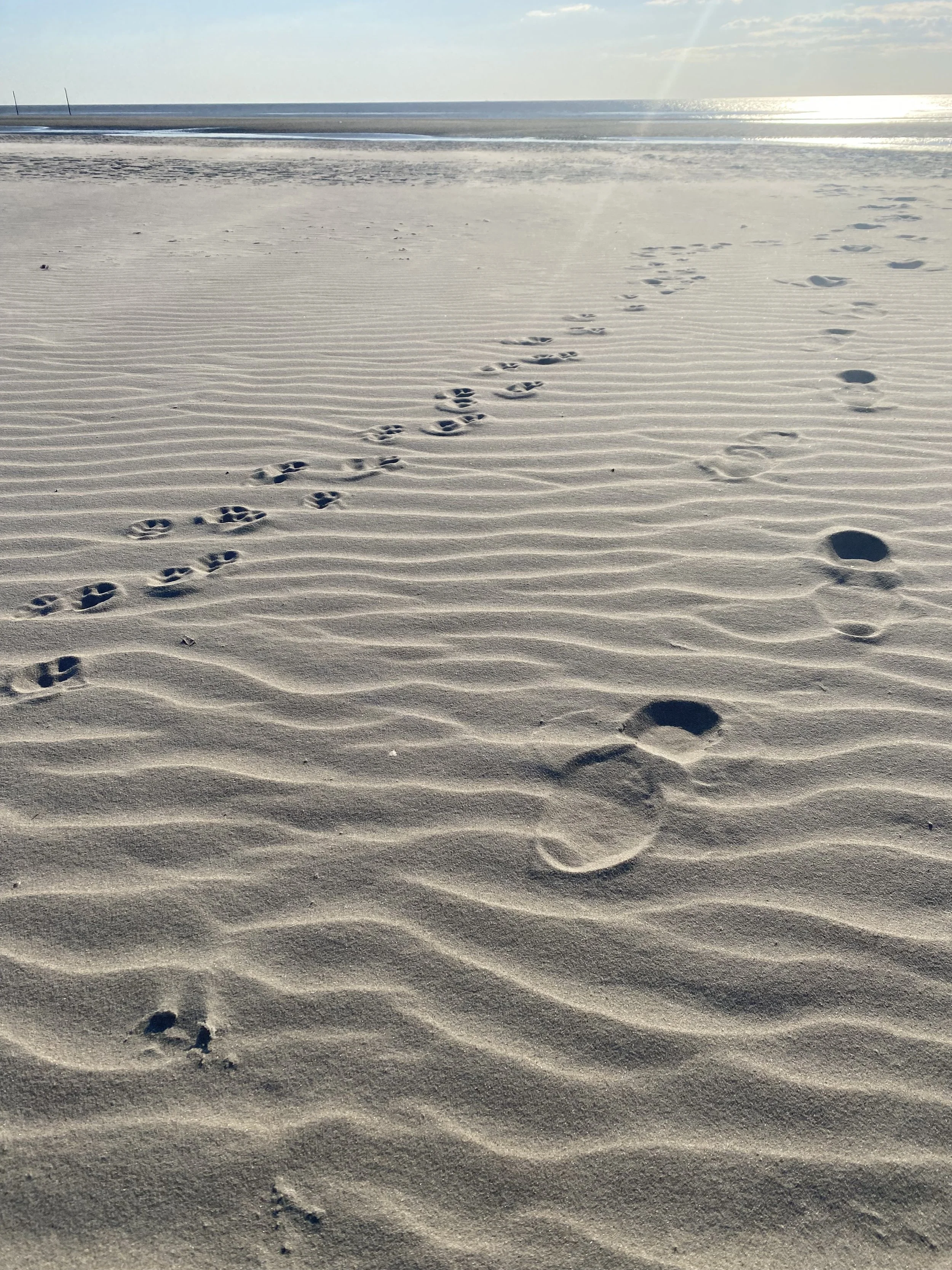 Fußspuren im Sand an einem Strand bei Sonnenuntergang.