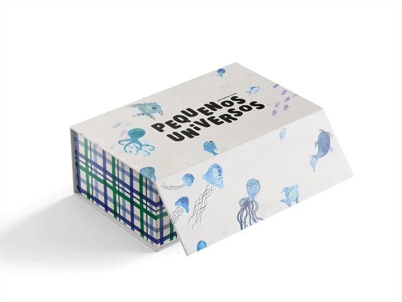 Hard_Cardboard_Box_Mockup copiar.jpg