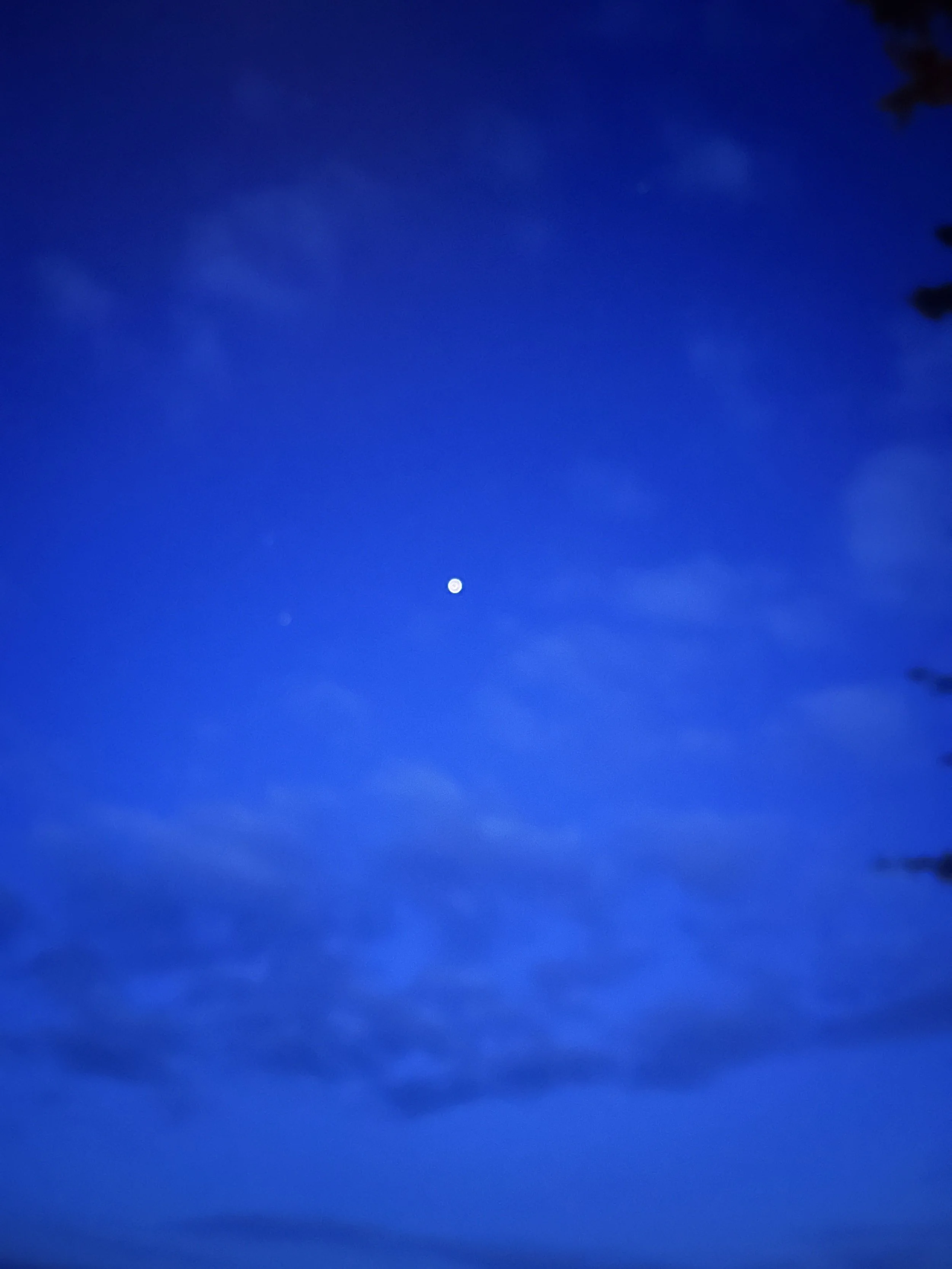 IMG_1258.jpeg