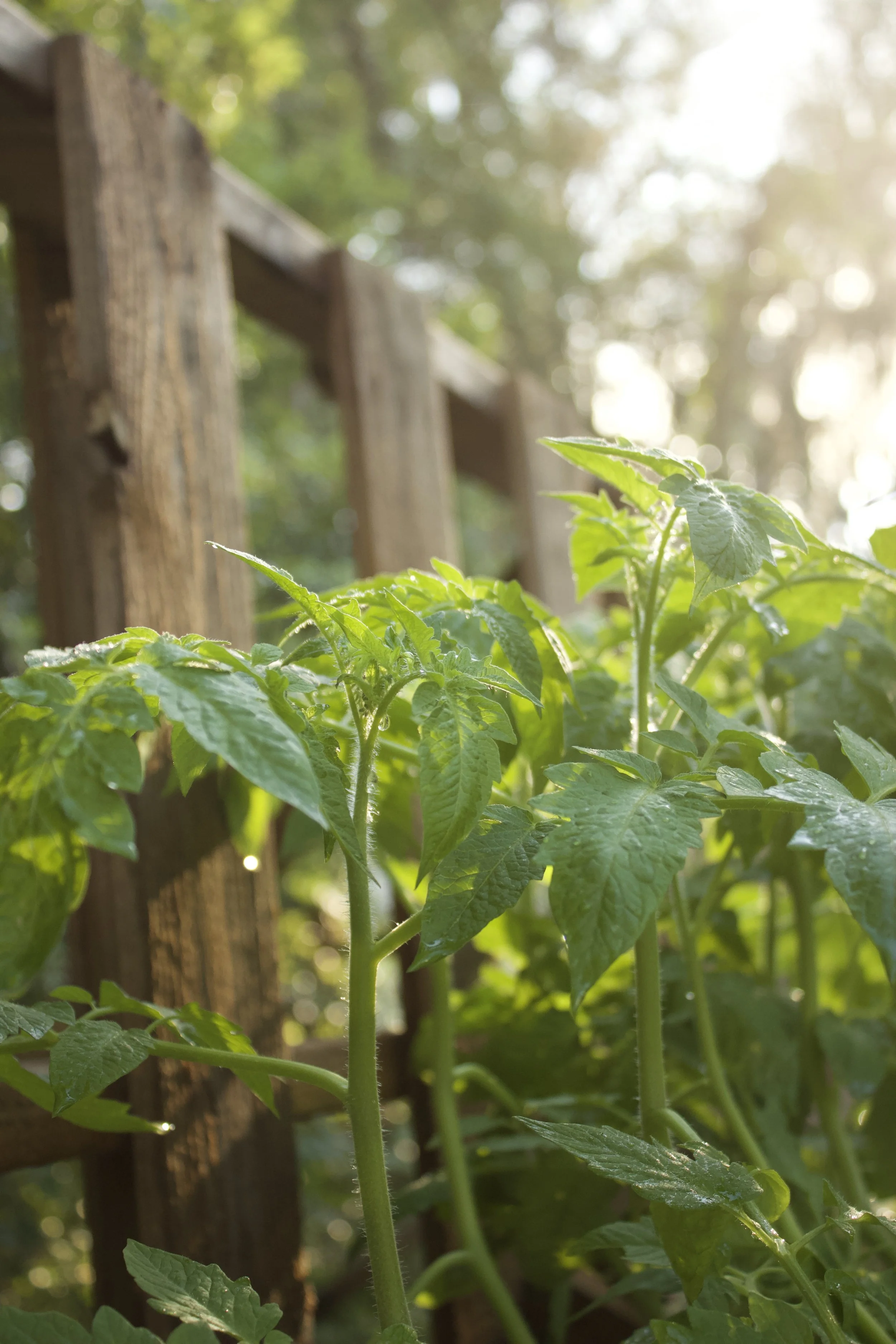 She’s a Bit Dramatic