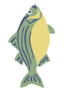Stylized illustration of a striped fish