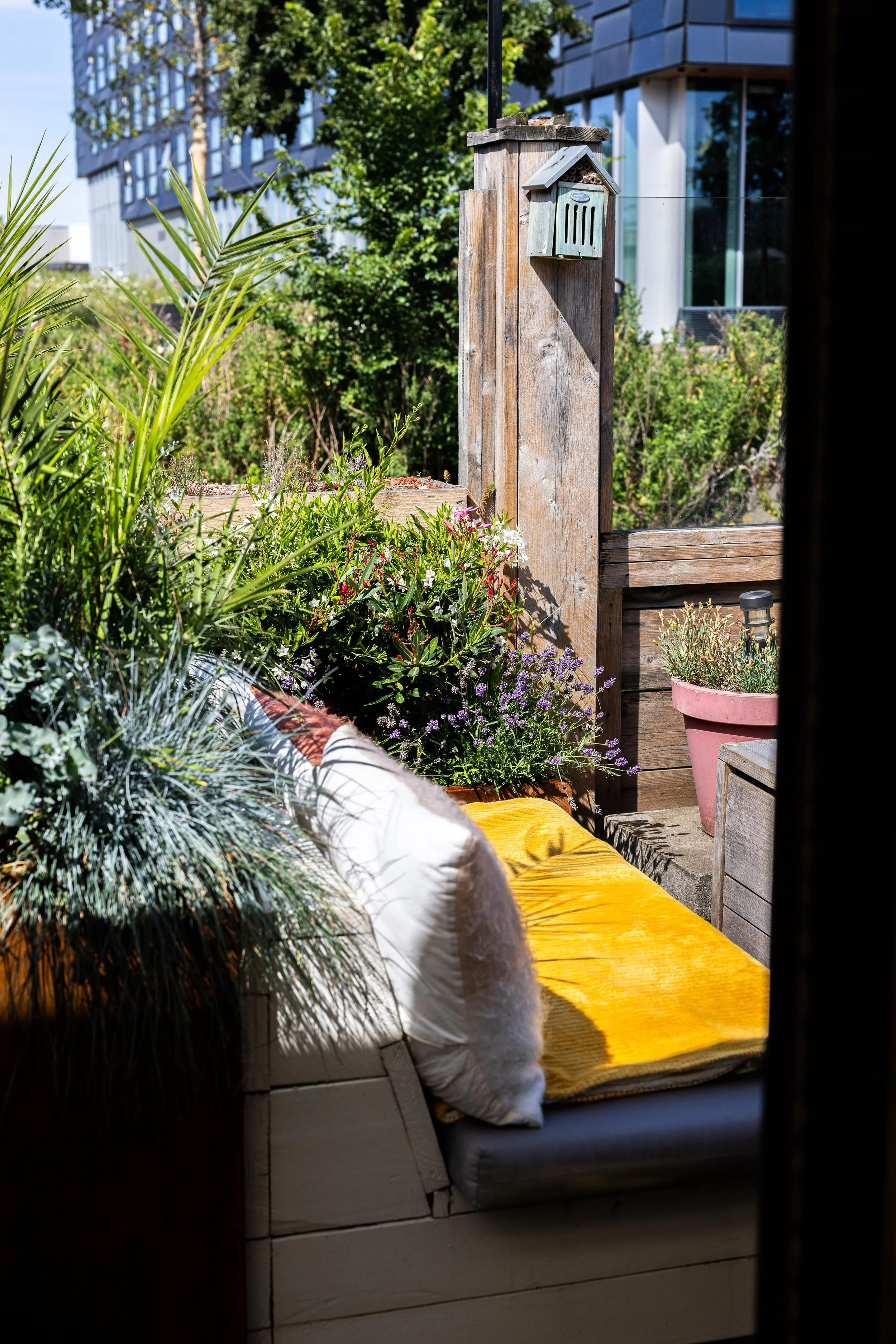View of a small outdoor space with a wooden bench, pillows, a yellow blanket, various potted plants, and a wooden post with a small mailbox or decorative box attached. In the background, modern glass buildings and greenery are visible.