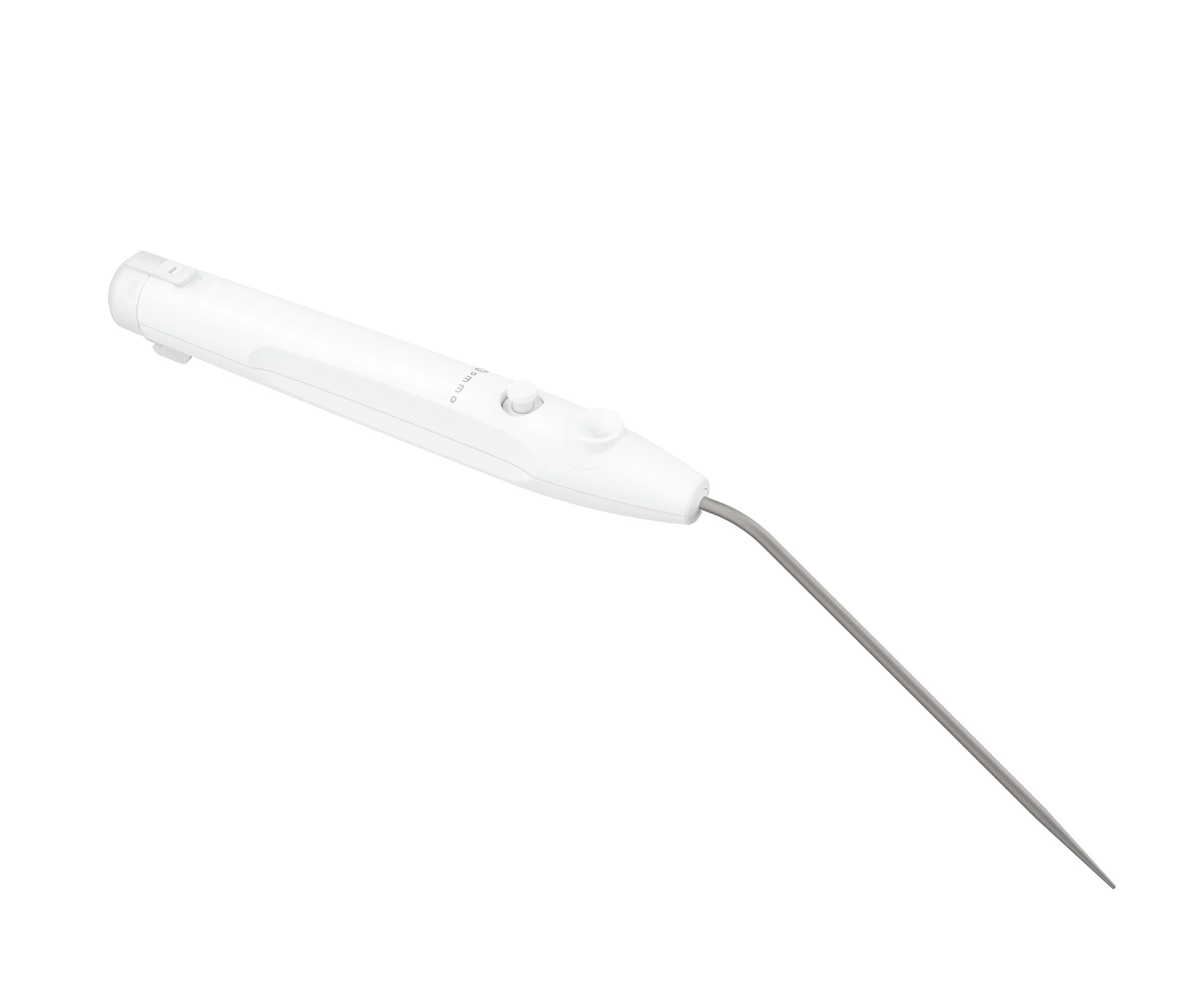 POINTER.4B.jpg