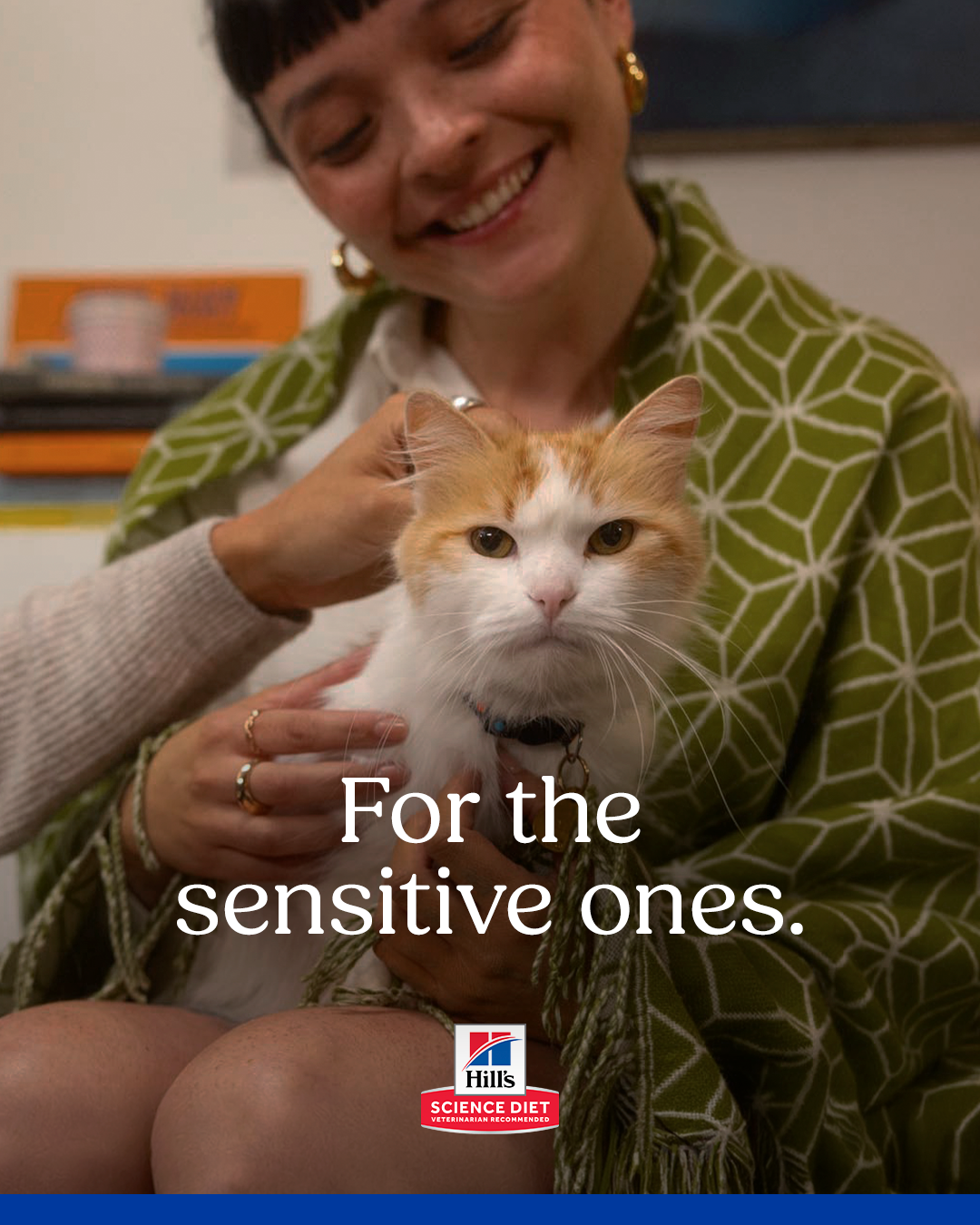 4x5 cat post 2.png