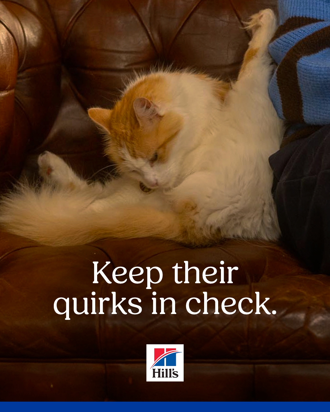 4x5 cat post 1.png