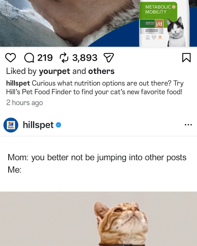 FEED-JUMP.gif