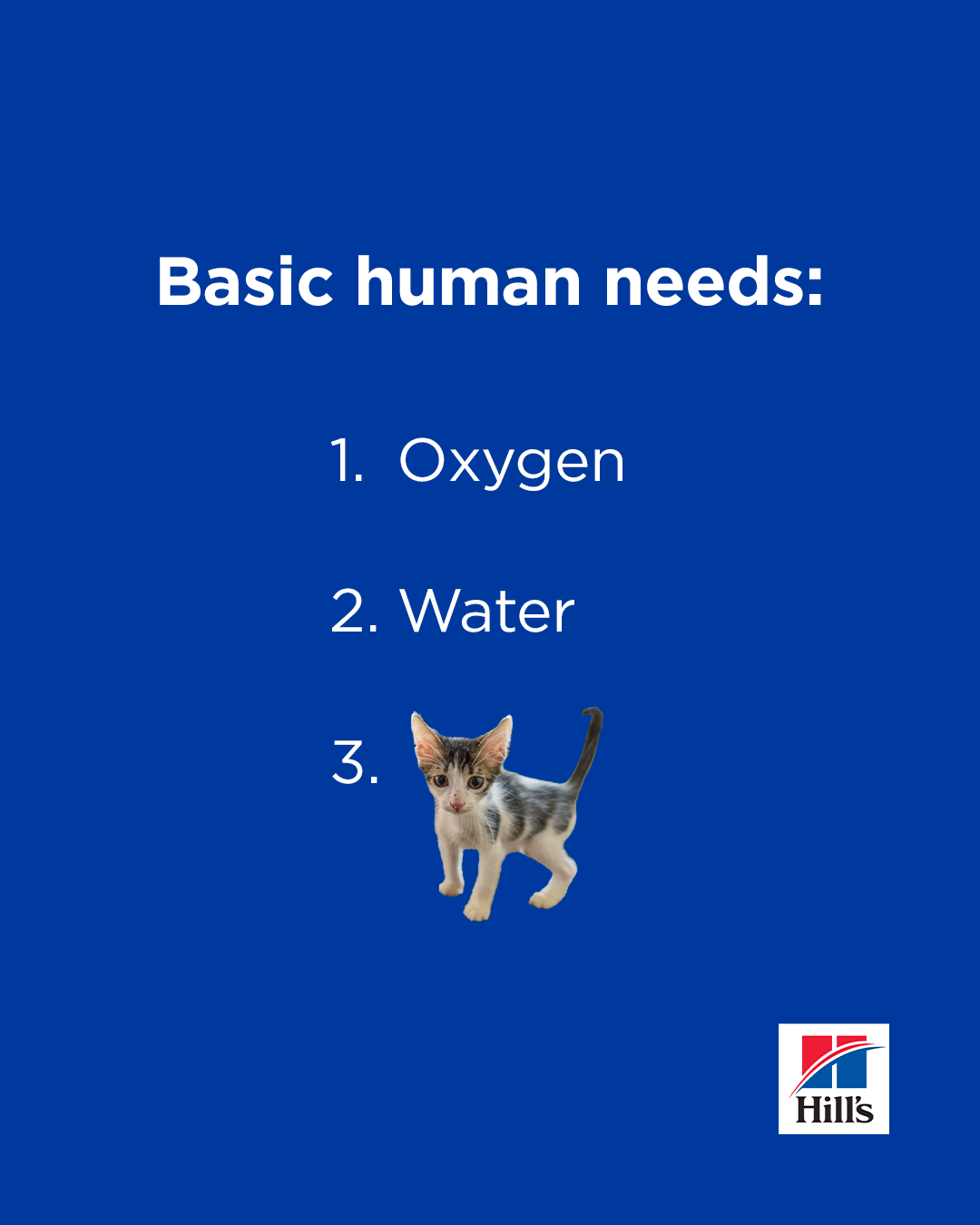 4x5 cat organic 2.png