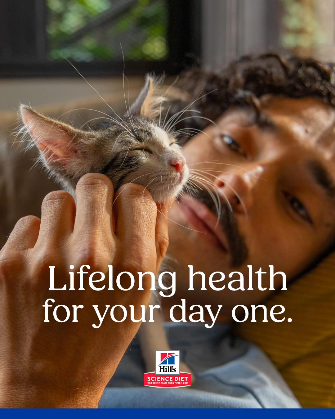 4x5 cat post 2.png