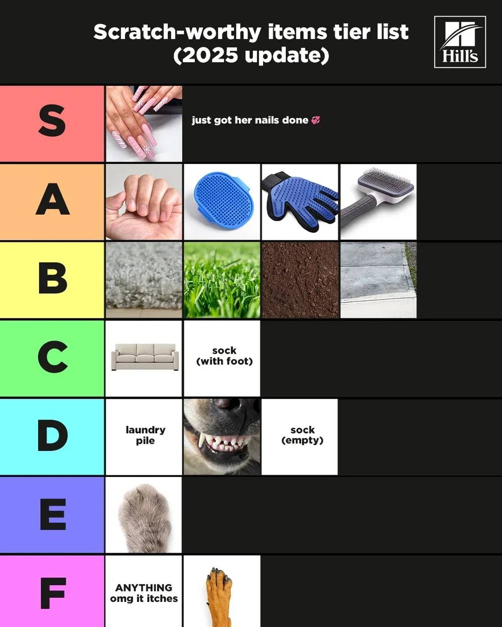SCRATCHING-TIER.webp