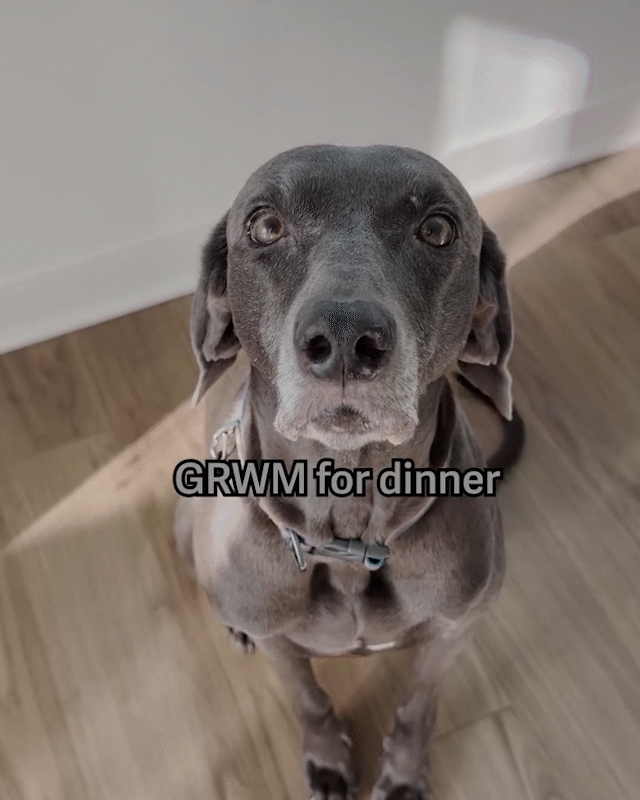 GRWM-DINNER.gif
