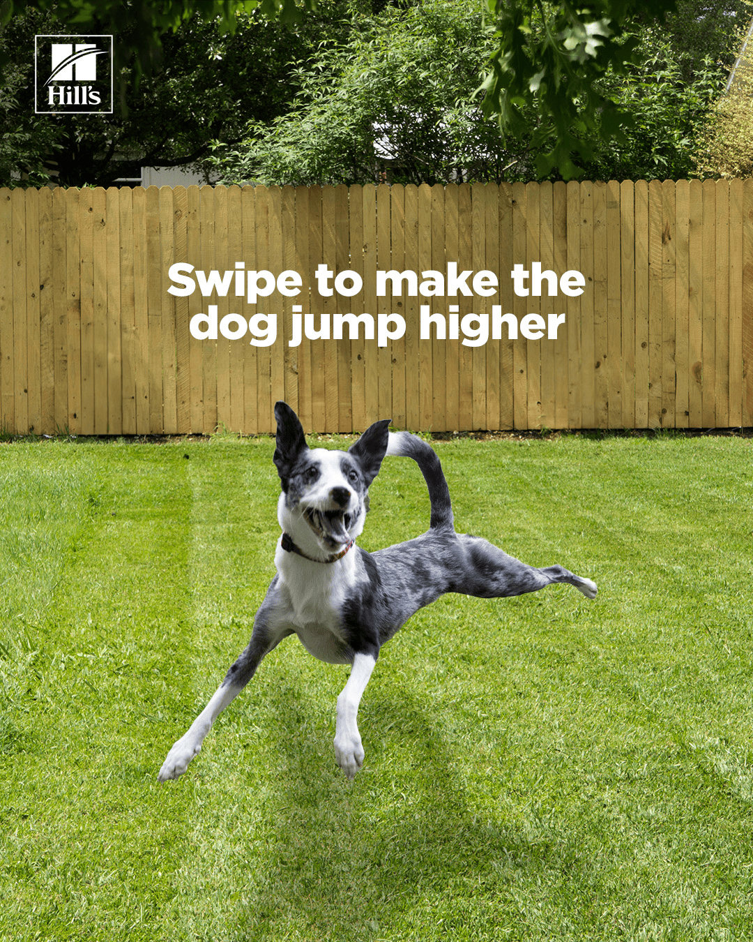 JUMP-HIGHER-GIF.gif
