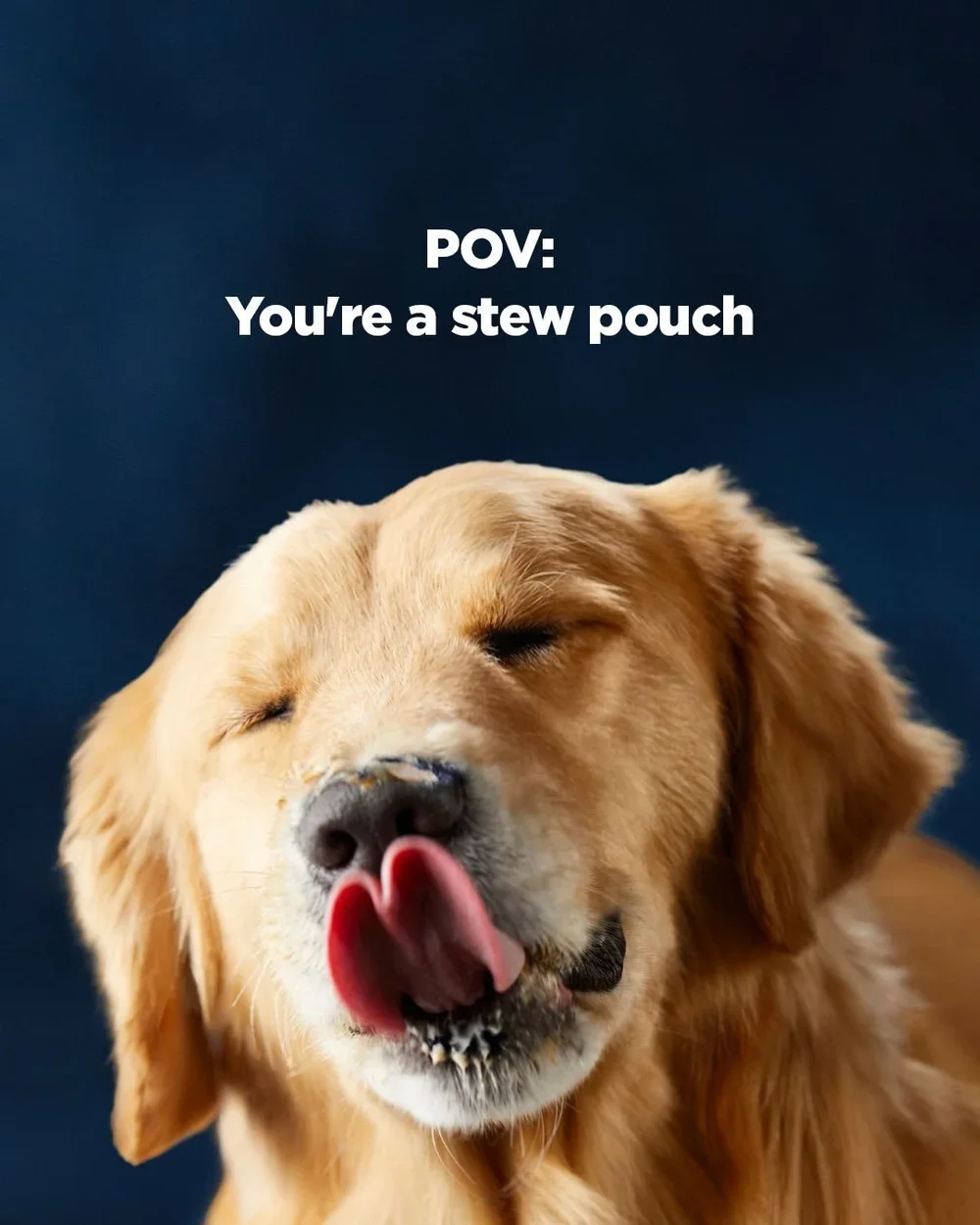 POV-POUCHES.webp