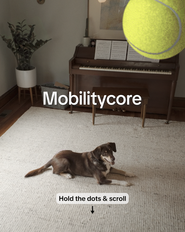 MOBILITY-CORE.gif