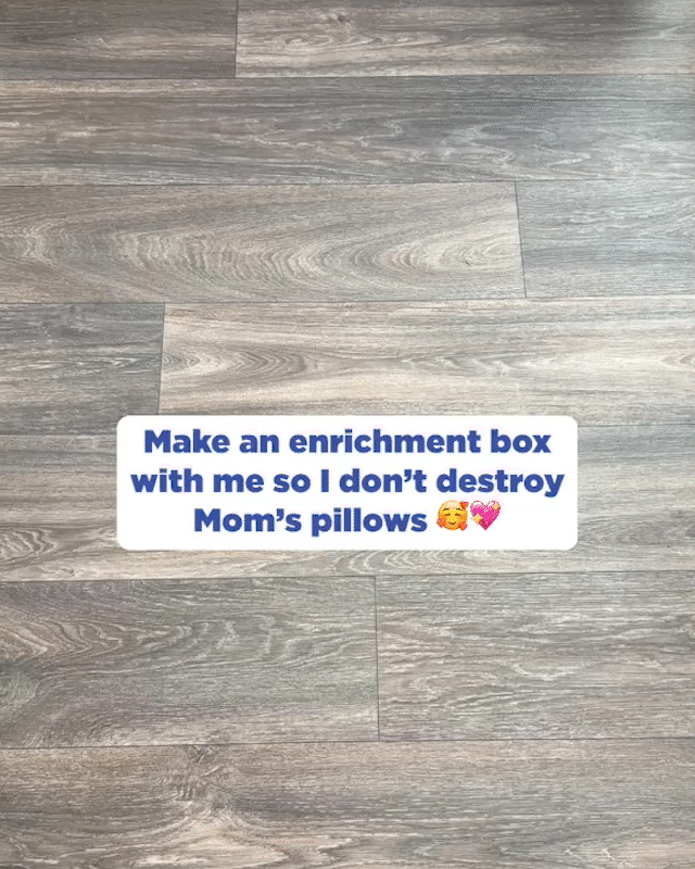 ENRICHMENT-BOX.gif