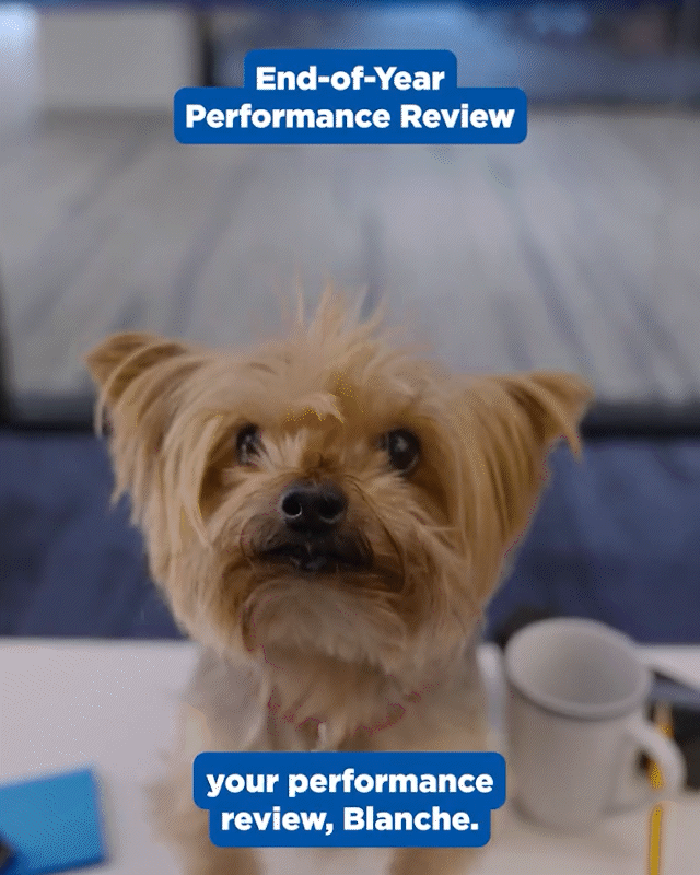 EOY-PERFORMANCE-REVIEW-2.gif