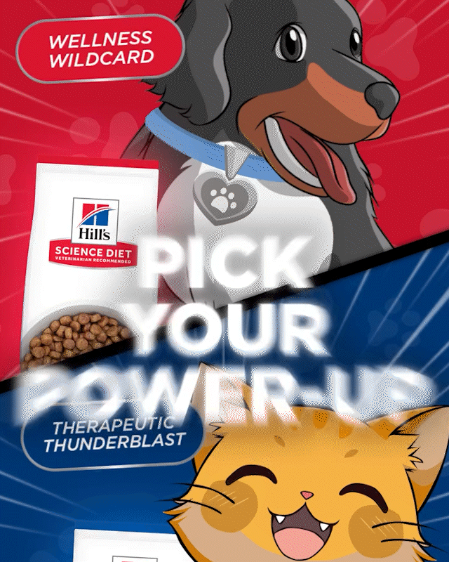 POKEMON-CARDS.gif