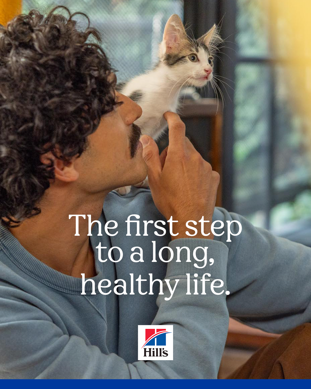 4x5 cat post 2.png