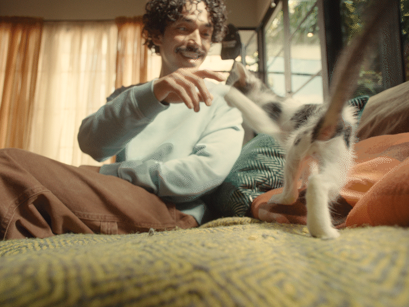 Kitten-Chaos-Gifs_8.gif