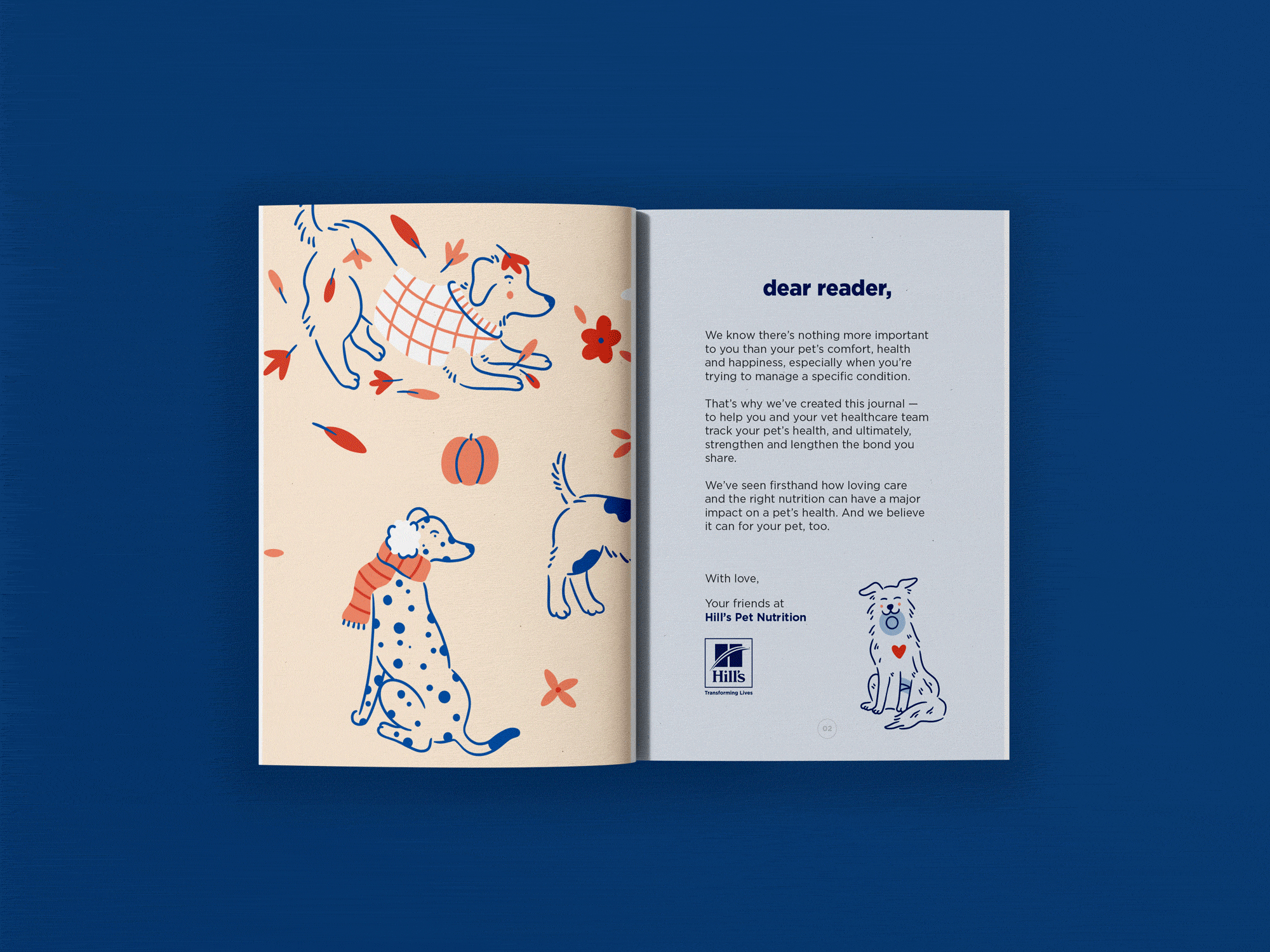 intro-pages.gif