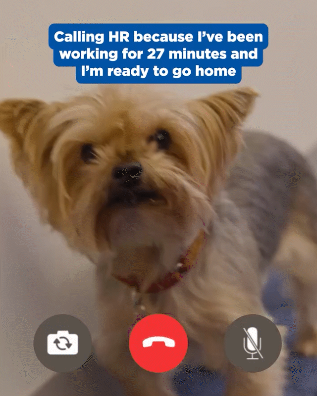 CALLING-HR-1.gif