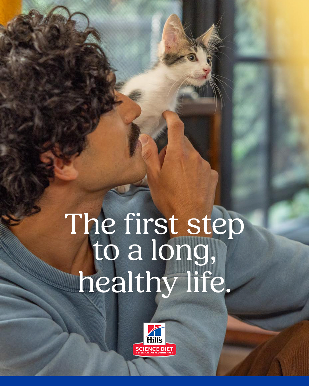 4x5 cat post 1.png