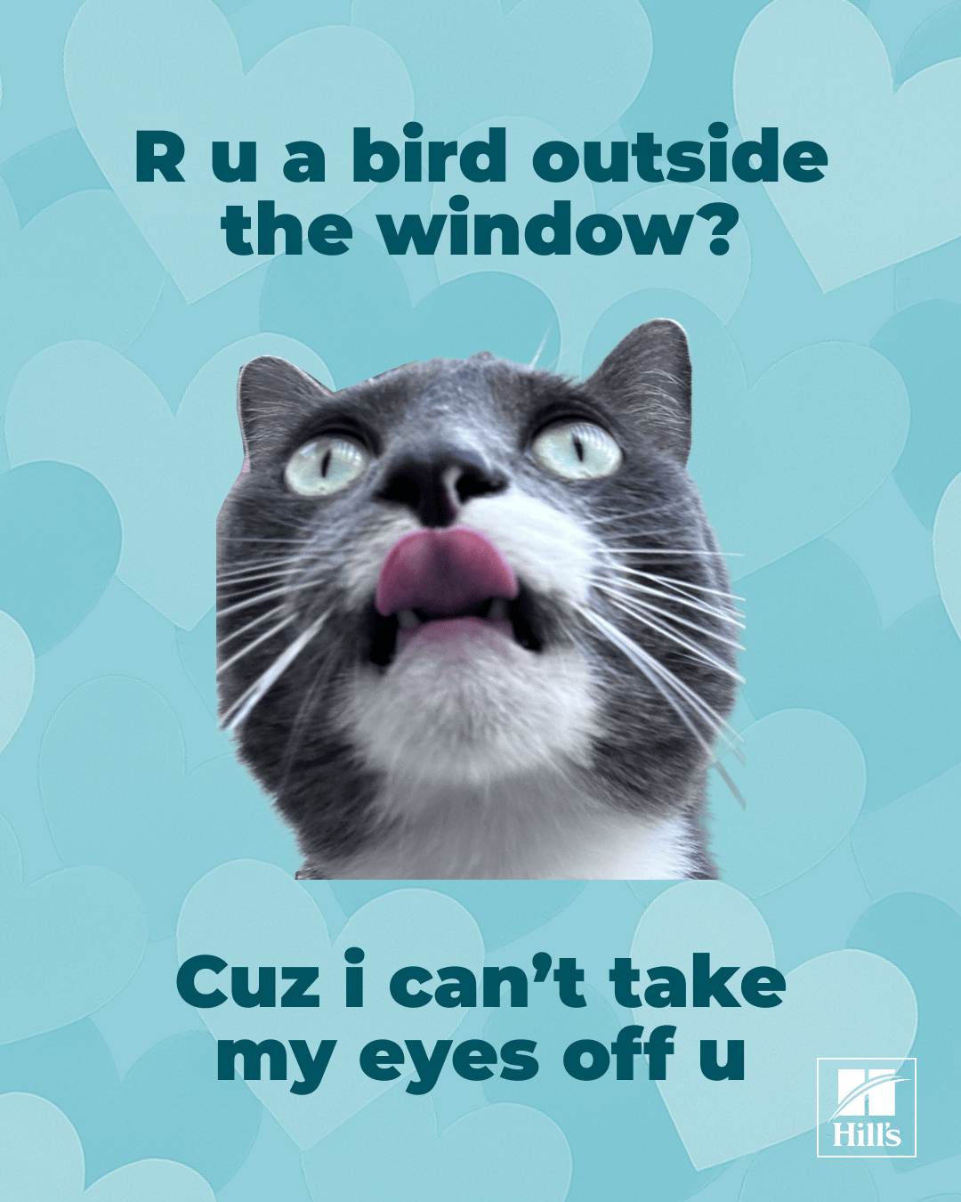 VALENTINES.gif