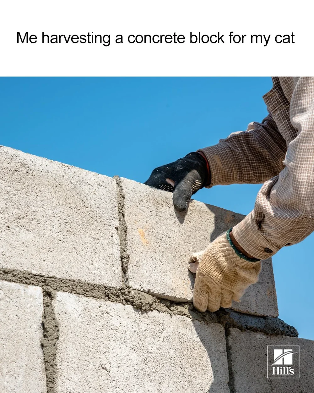 CONCRETE-BLOCK-HARVEST.webp