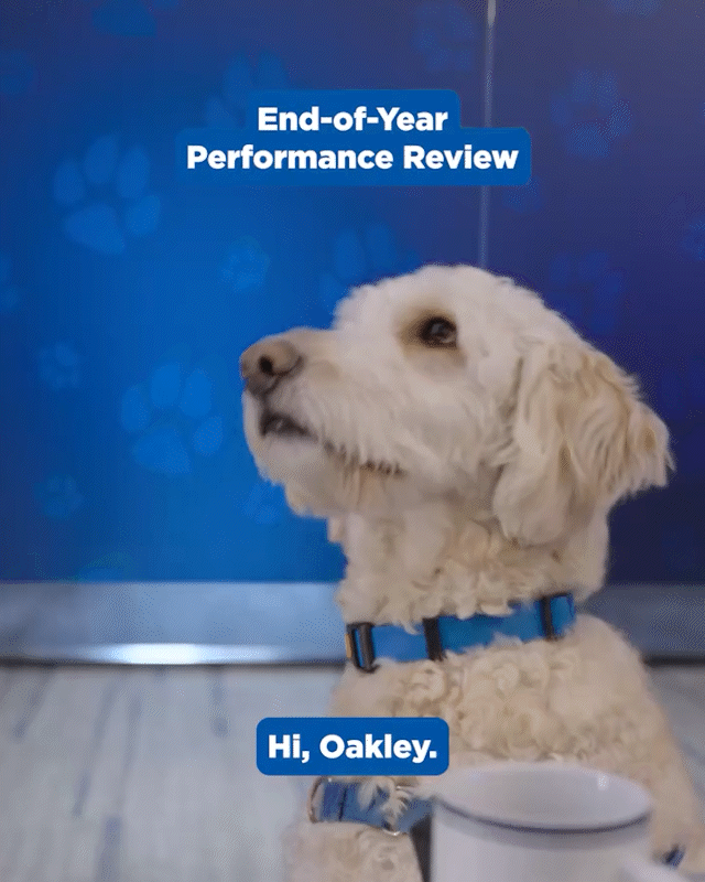 EOY-PERFORMANCE-REVIEW1.gif