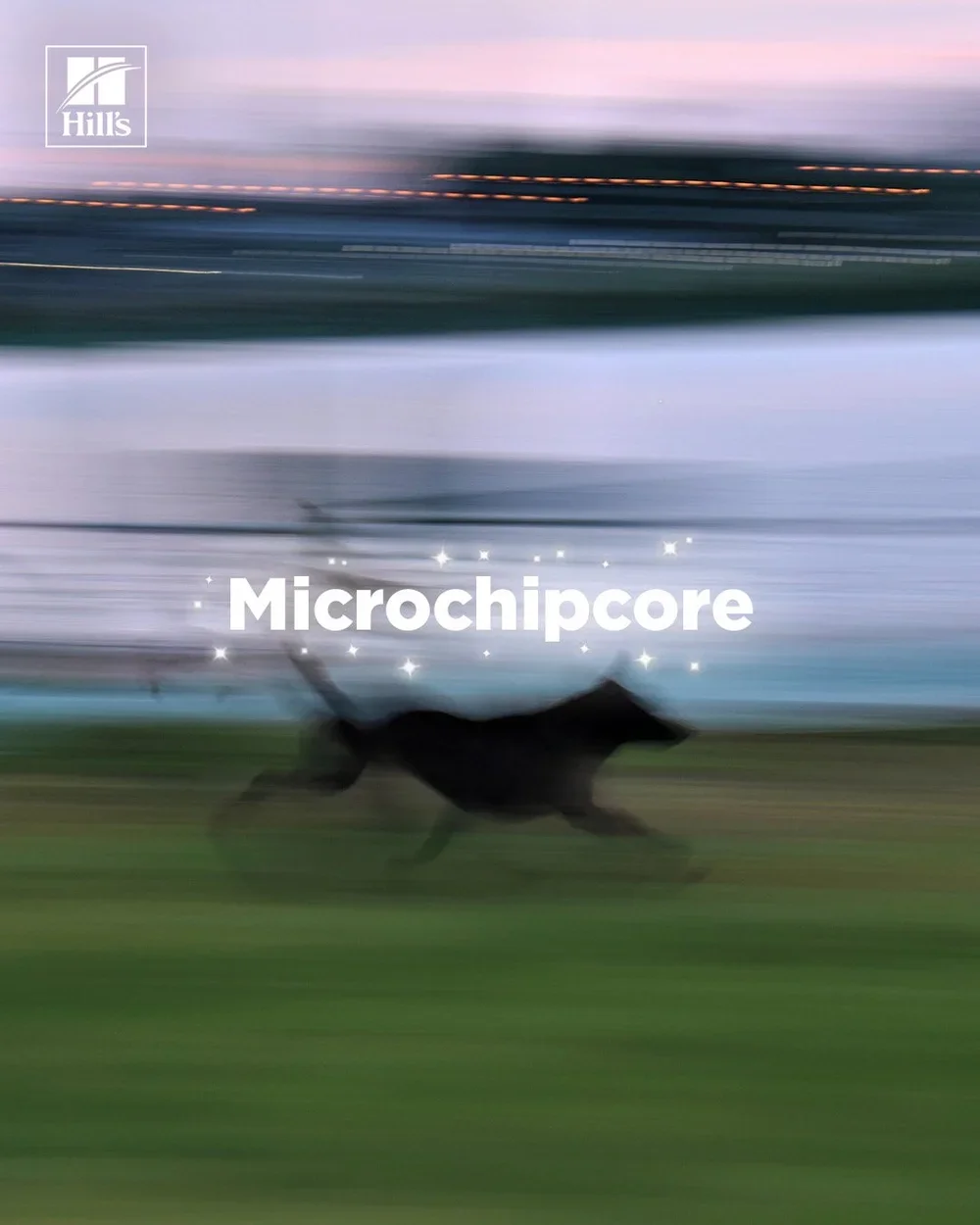 MICROCHIPCORE.webp