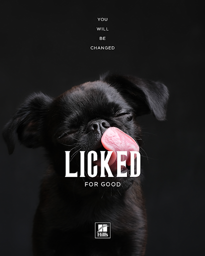 LICKED.webp