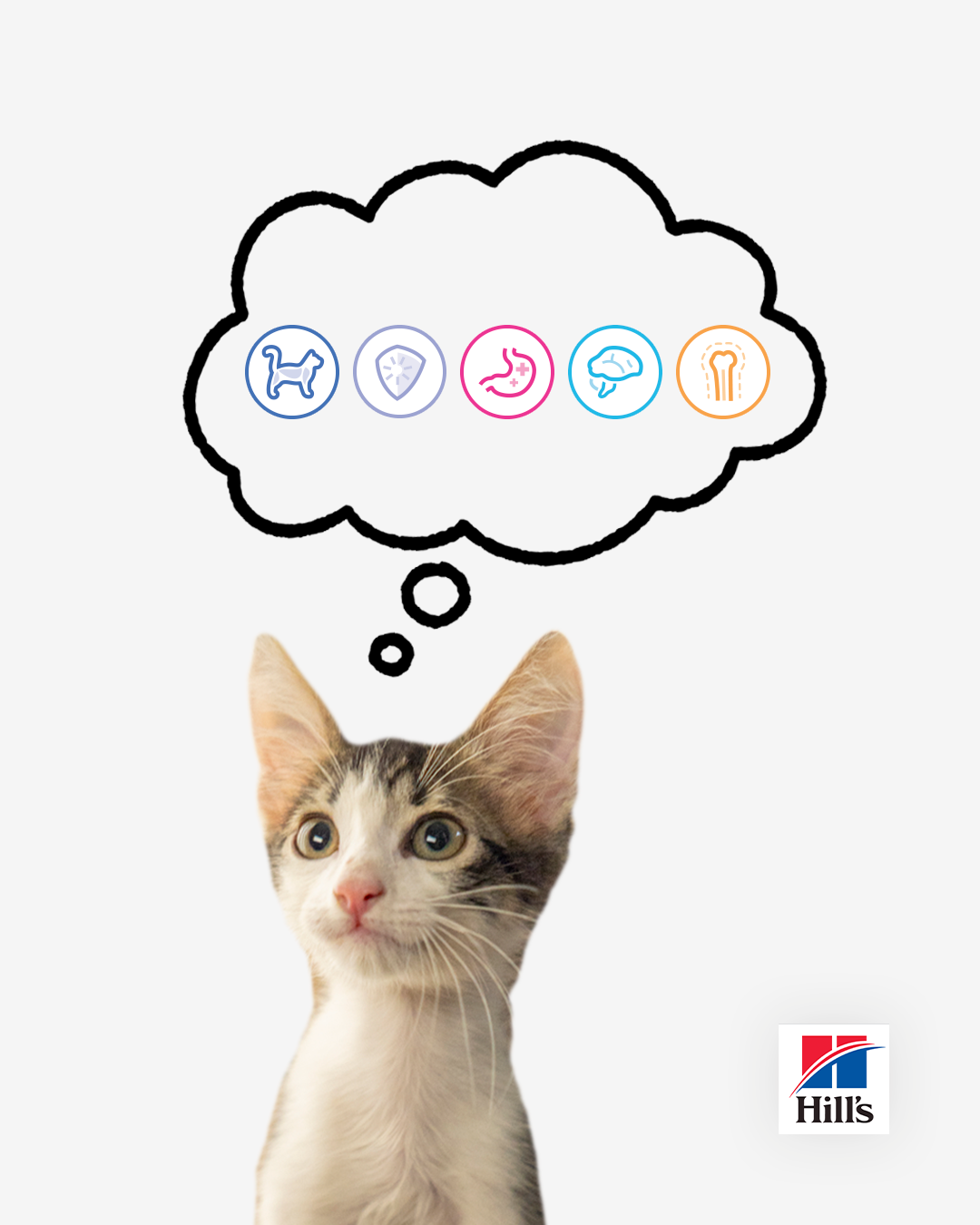 4x5 cat organic 3-1.png