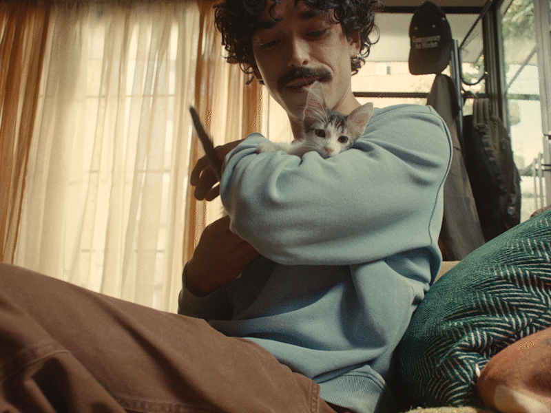 Kitten-Chaos-Gifs.gif