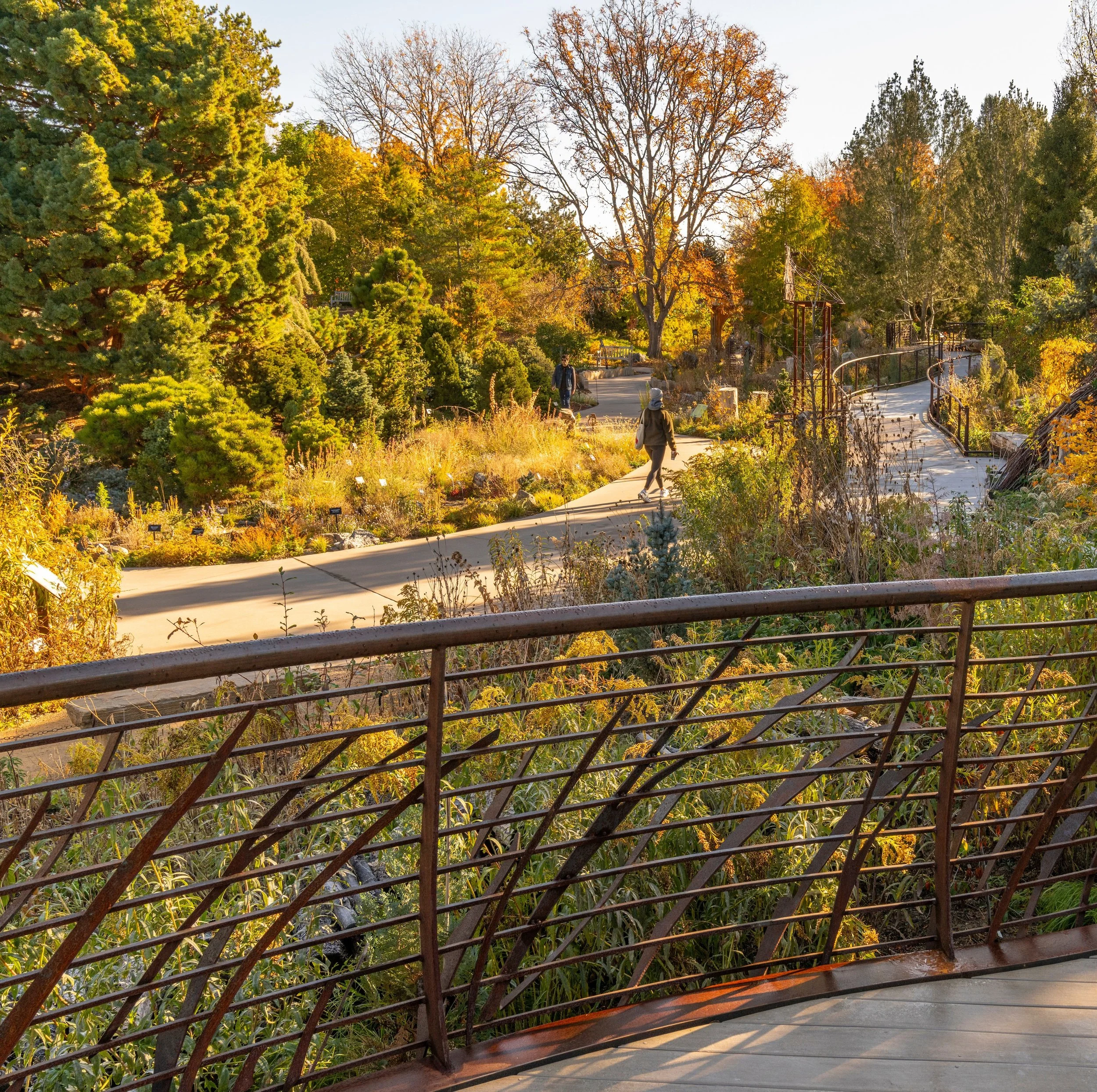 20241102_fall-colors_069 (1).jpg