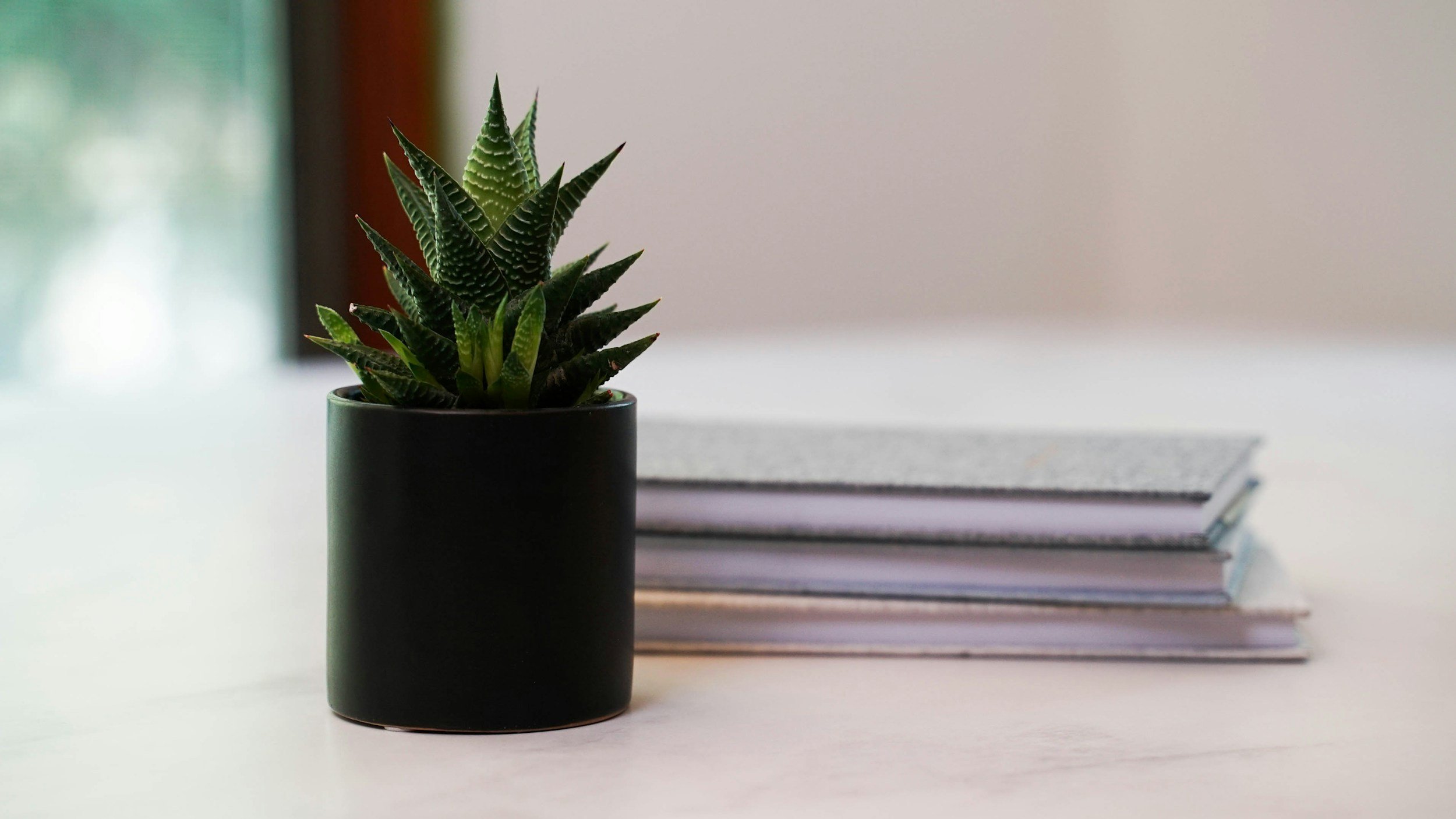 A small potted succulent plant with spiky green leaves on a white surface, with several stacked notebooks or magazines in the background.
