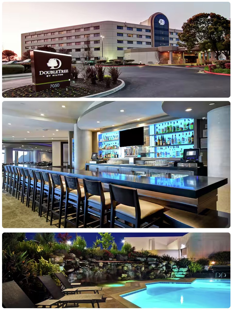 A hotel with a large exterior, a bar area with seating and a variety of bottles, and a swimming pool surrounded by greenery and lounge chairs.