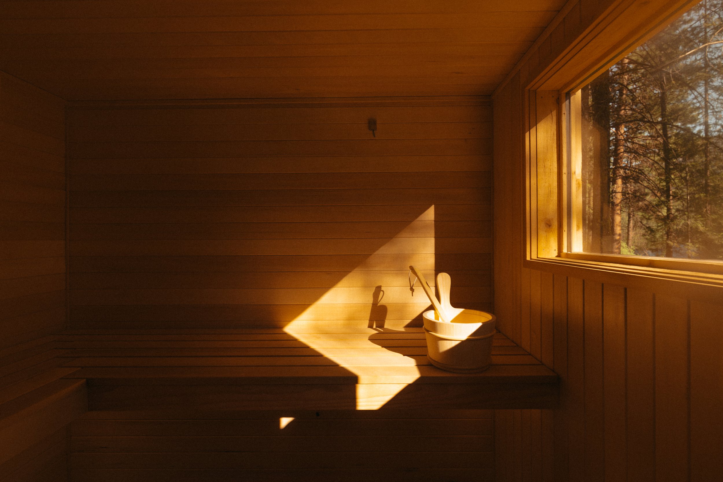 Wood-paneled cedar sauna interior with a small wooden bucket and a wooden dipper, illuminated by sunlight coming through a large window showing trees outside.