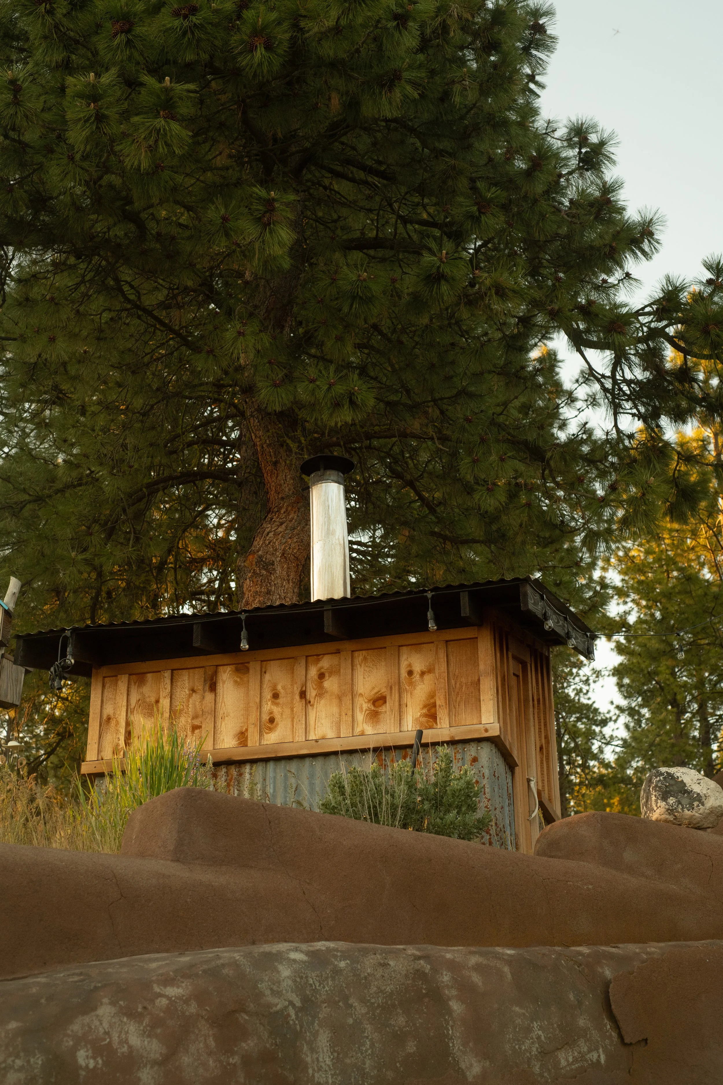 A small custom cedar sauna with a metal roof, built on a rocky terrain, with a large pine tree in the pacific northwest.