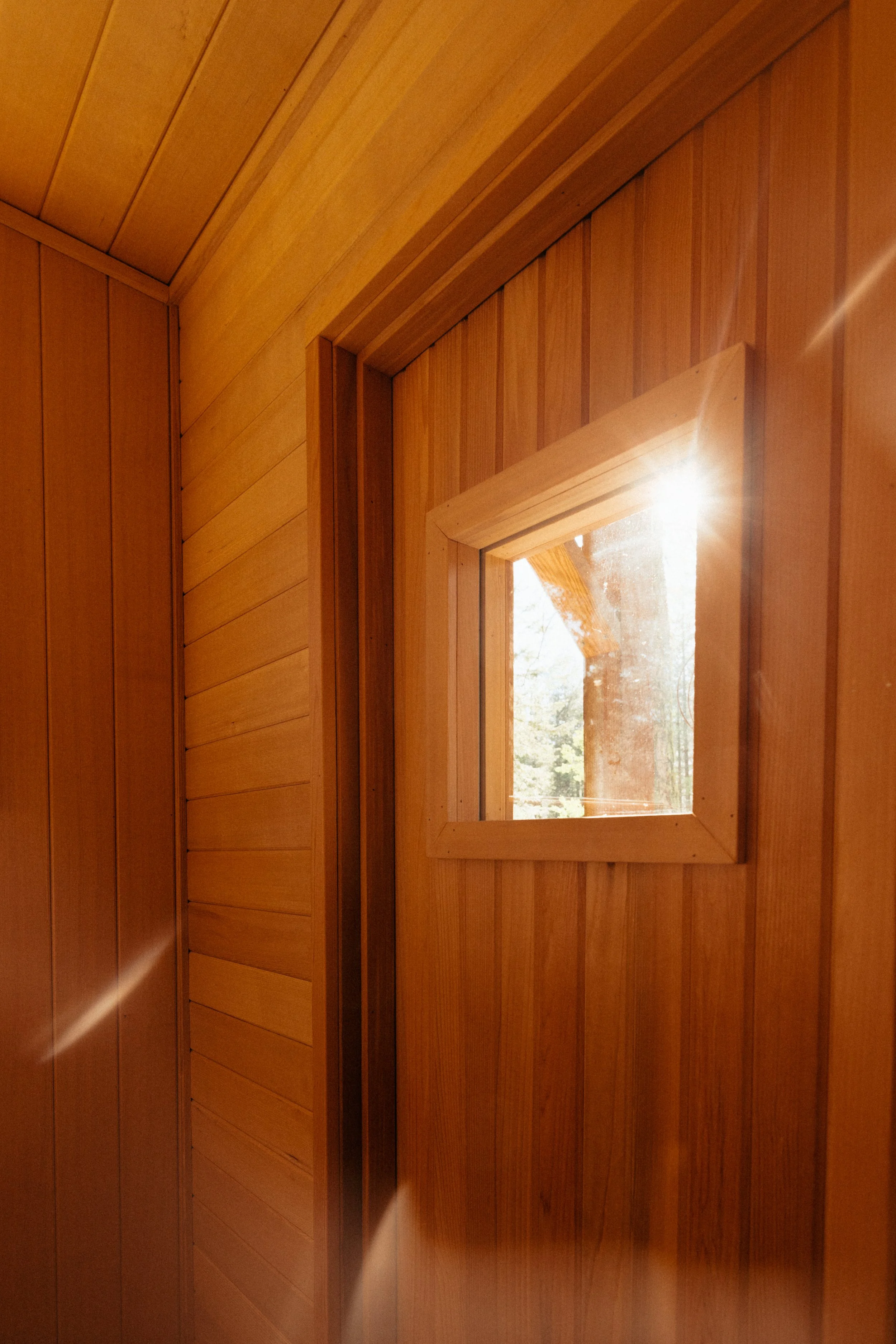 Cedar sauna interior wall and window with sunlight shining through, showing trees outside.