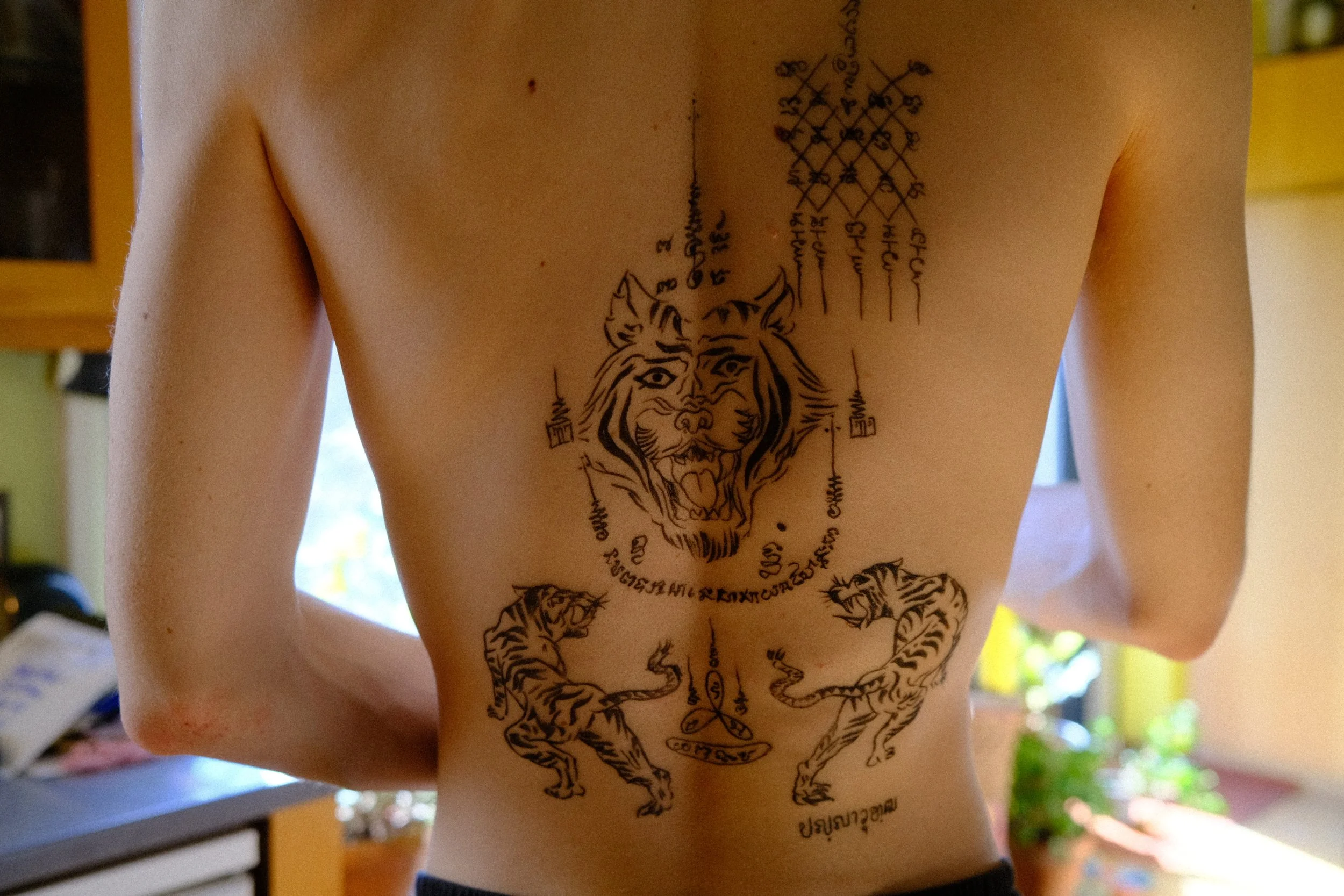 DSCF7304.JPG