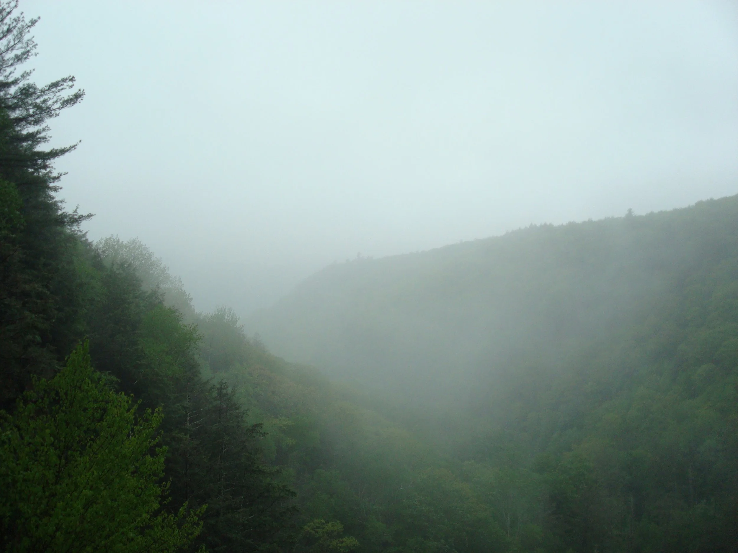 DSC02189.JPG
