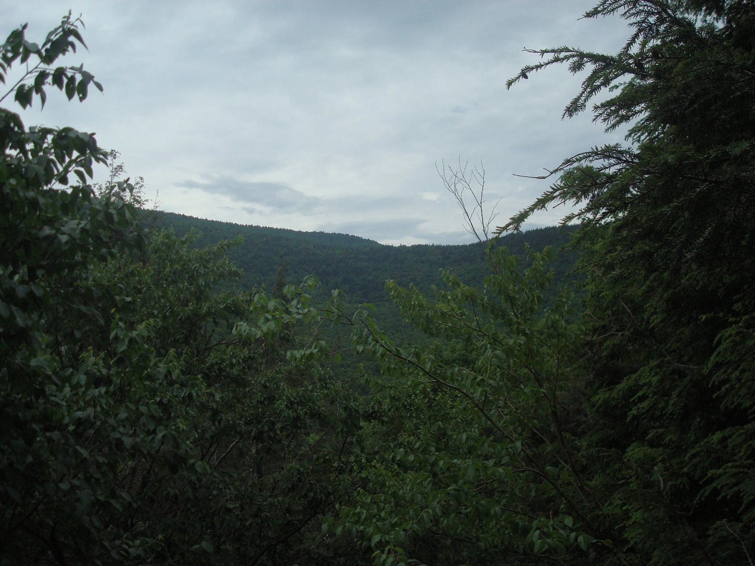 DSC02504.JPG