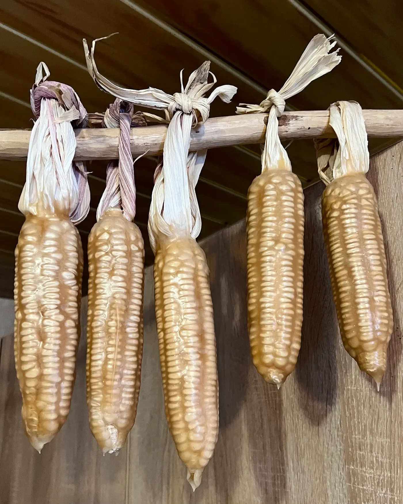   Step 1: Dip the corn in pelamushi  