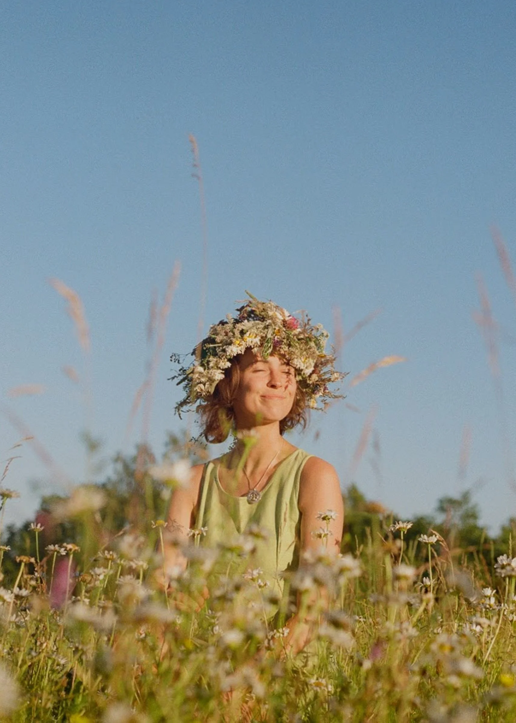 MEADOW (Latvia)