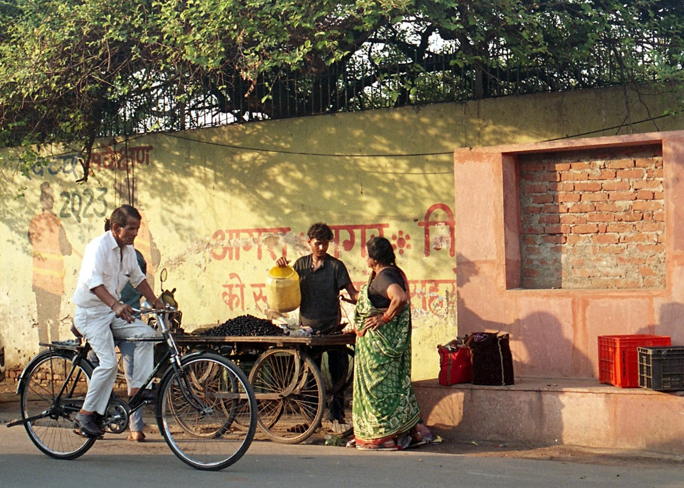 WEDNESDAY (Agra)