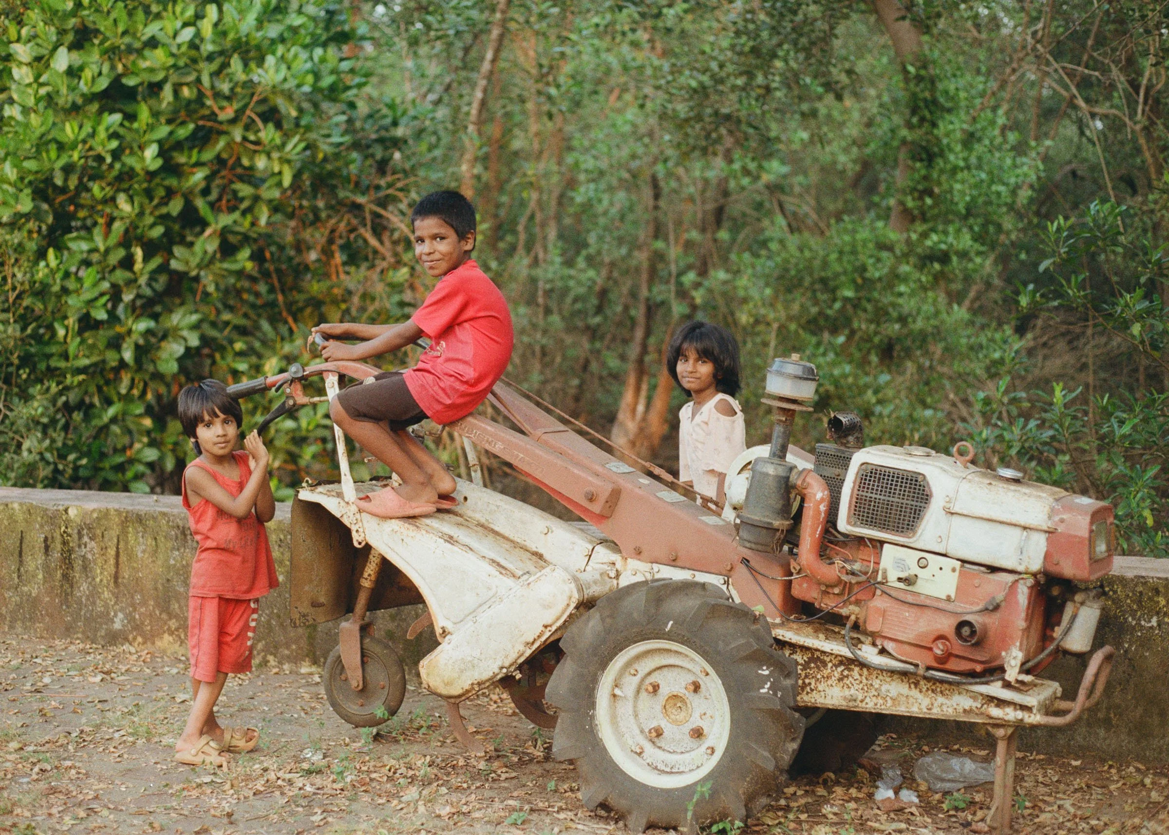 INNOCENCE (Goa)