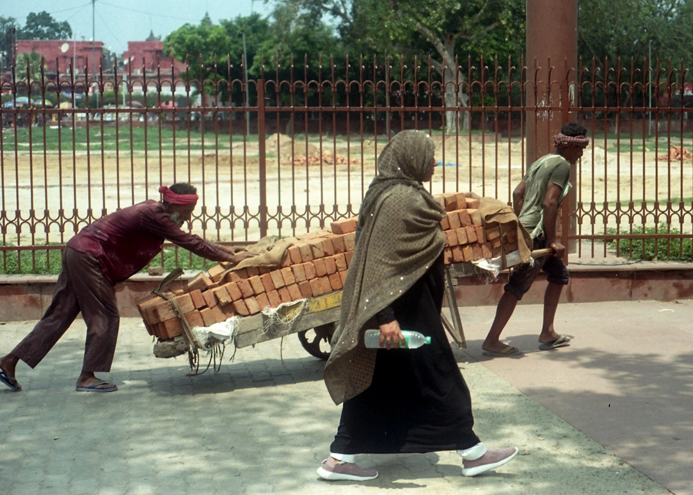 MOMENTUM (Delhi)