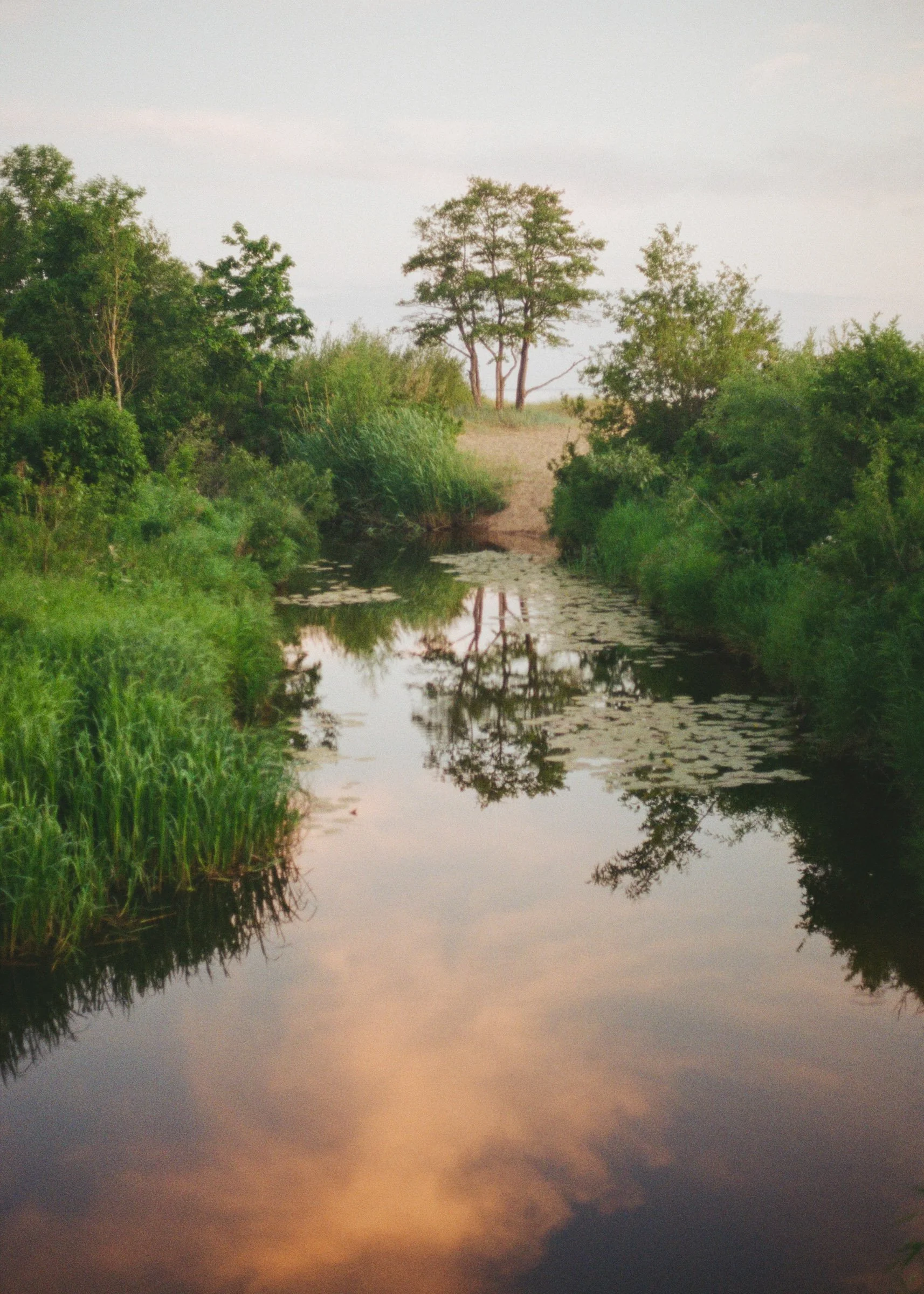 SUMMER SOLSTICE (Latvia)